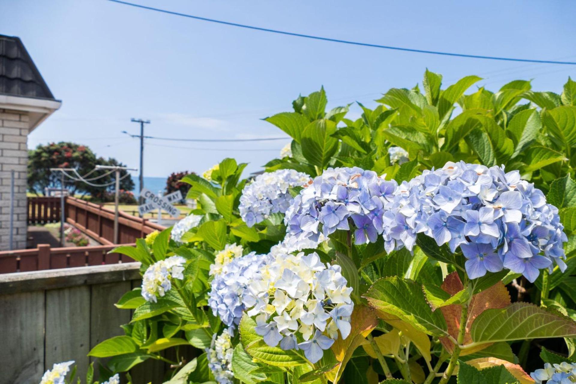 Sea Breeze On Belt By Coastal Walkway Villa New Plymouth Exterior photo